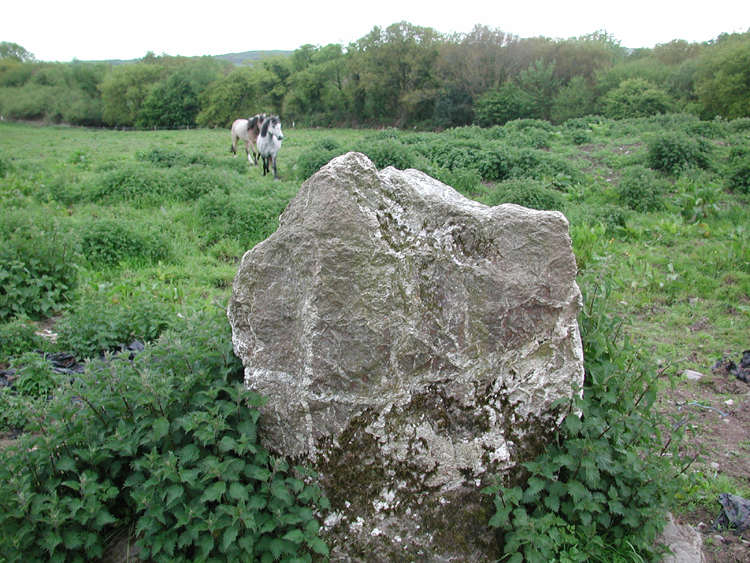 Mass Stone, Killowen 2.jpg 511.6K